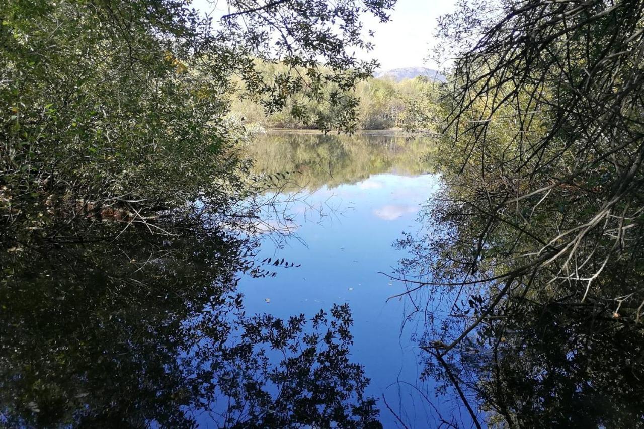La Cabana De Gaia San Lorenzo de El Escorial Kültér fotó